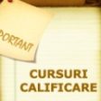 Cursuri de calificare gratuite pentru ospătari, cofetar-patiseri şi brutari