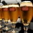 Stella Artois – World Draught Masters 2011