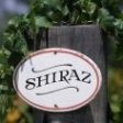 Shiraz Masters, degustare marca Vinul.ro