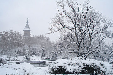 timisoara-winter-120201