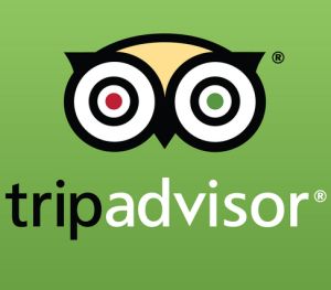 tripadvisor2