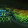 Peacock Hotels anunță încetarea acordului de colaborare cu Golden Tulip