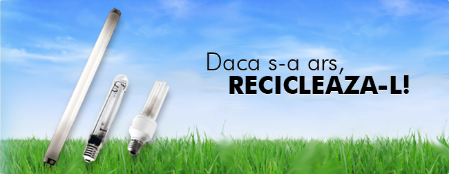 reciclarebecuri